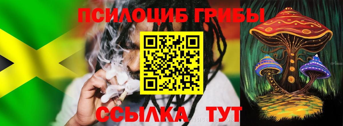 Ковров  Псилоцибиновые грибы прущие грибы  купить наркоту  Вход с VPN 